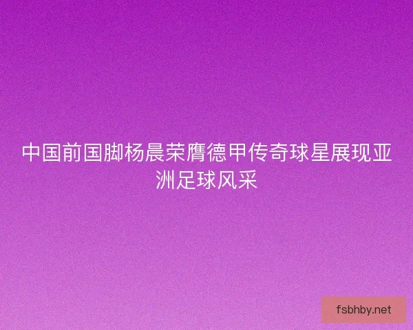 中国前国脚杨晨荣膺德甲传奇球星展现亚洲足球风采
